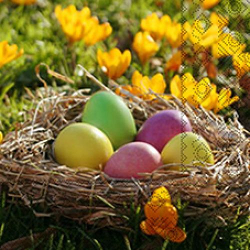 Easter series CP-FH021